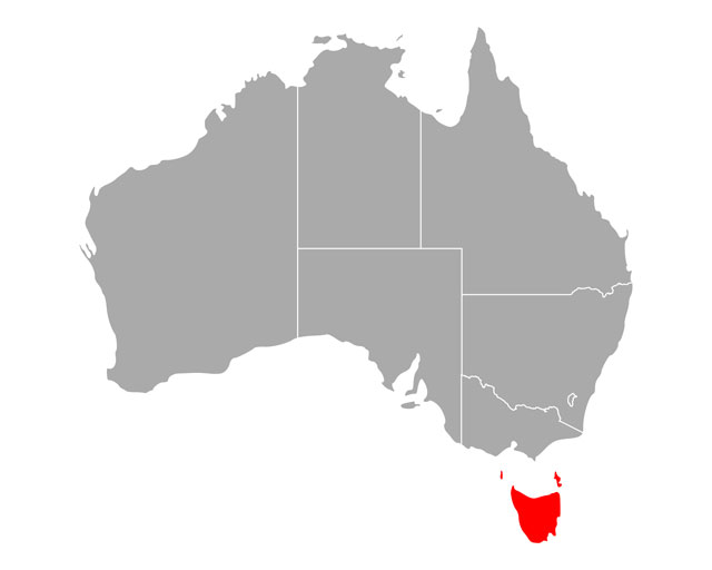 Tasmania – Commercial Operator Licence
