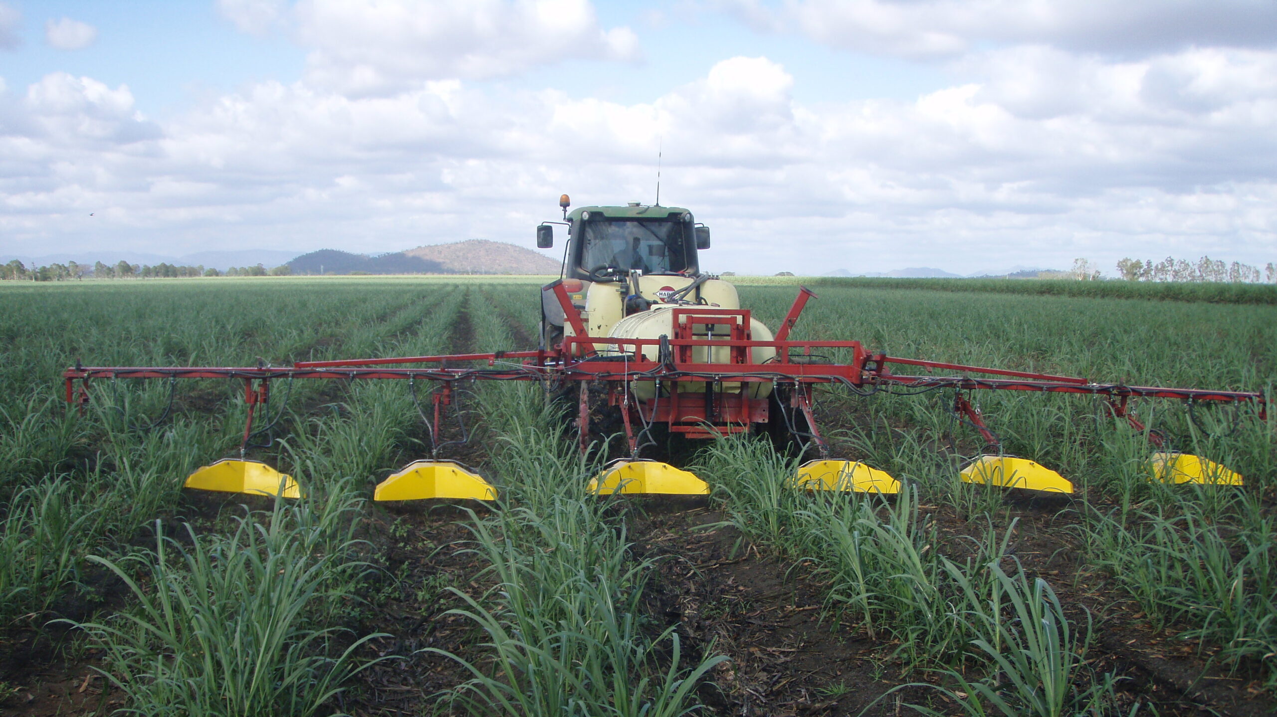 CHEMICAL USER + CONTROL WEEDS (SMARTCANE BMP) CHEMICAL USER + CONTROL WEEDS (SMARTCANE BMP)