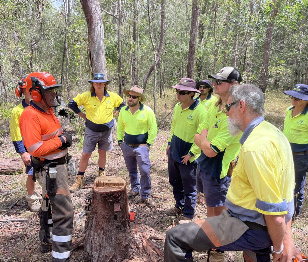 Fell Trees Training Course Sydney