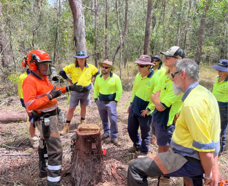 Duff Consulting Chainsaw Training Course