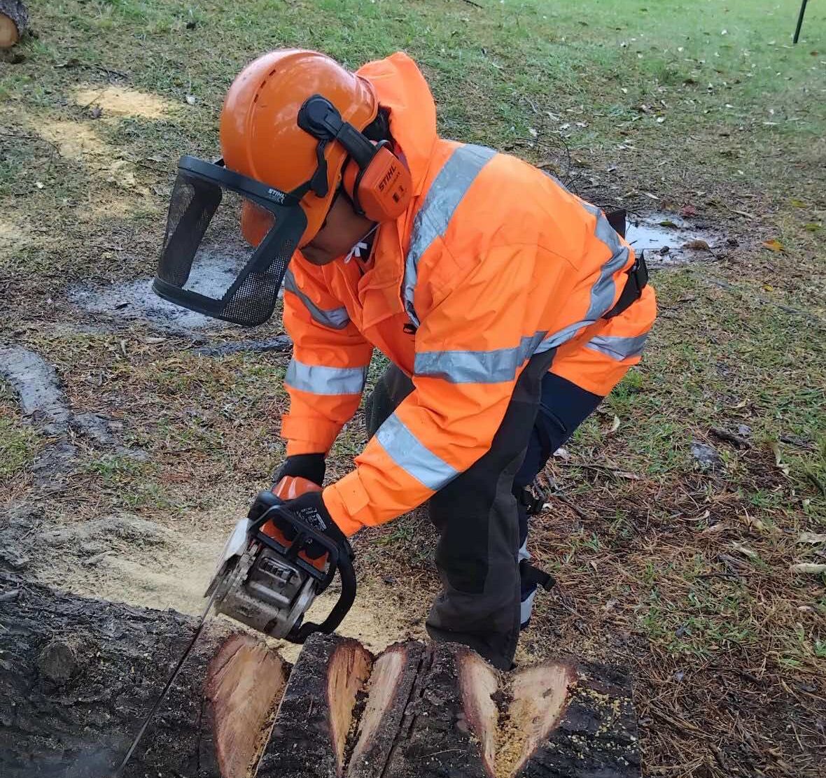 CHAINSAW (BASIC)