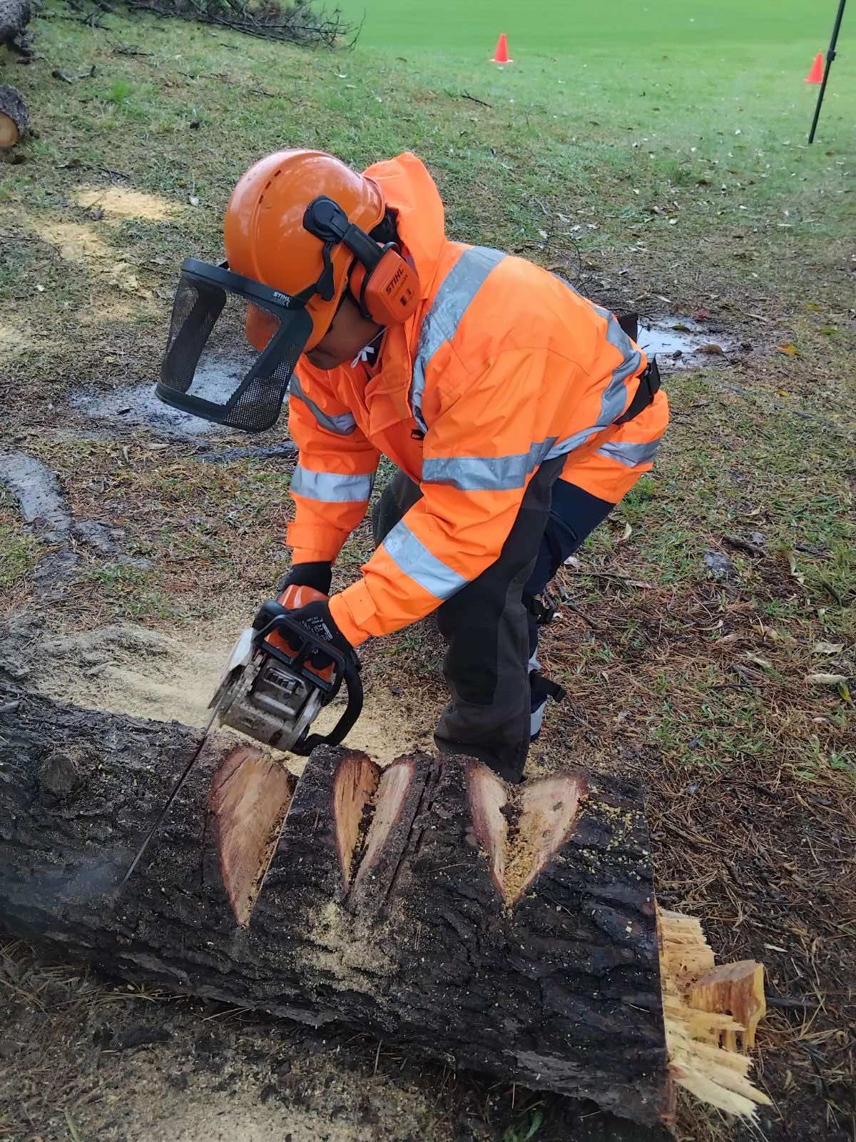 CHAINSAW (BASIC) CHAINSAW (BASIC)